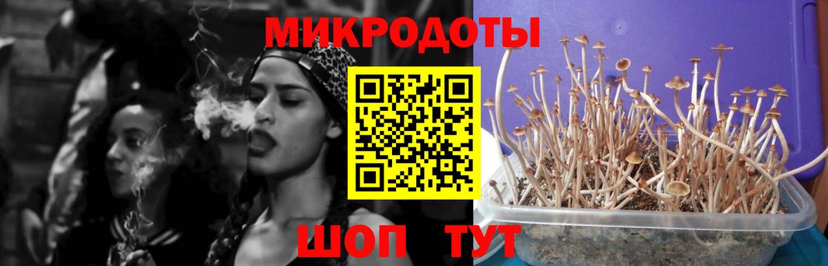 Галлюциногенные грибы Cubensis Уфа