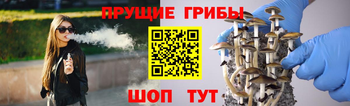Уфа  Галлюциногенные грибы MAGIC MUSHROOMS  Вход с VPN 